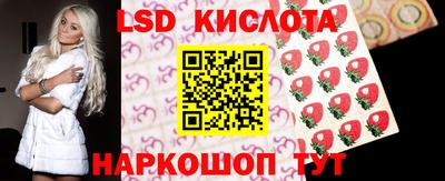 эйфоретик Кимры