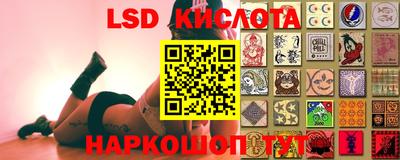 эйфоретик Кимры